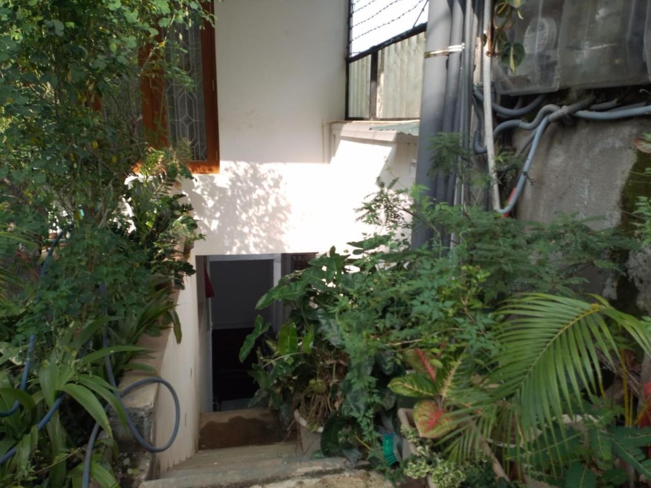 Luxury Apartment The Walkers Nest كاندي المظهر الخارجي الصورة
